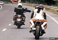 Vicces, humoros s rdekes kpek rendrkrl a nagyvilgbl 